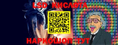 амф Новозыбков