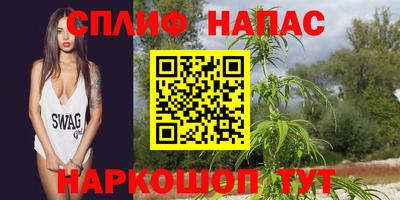 скорость Новодвинск