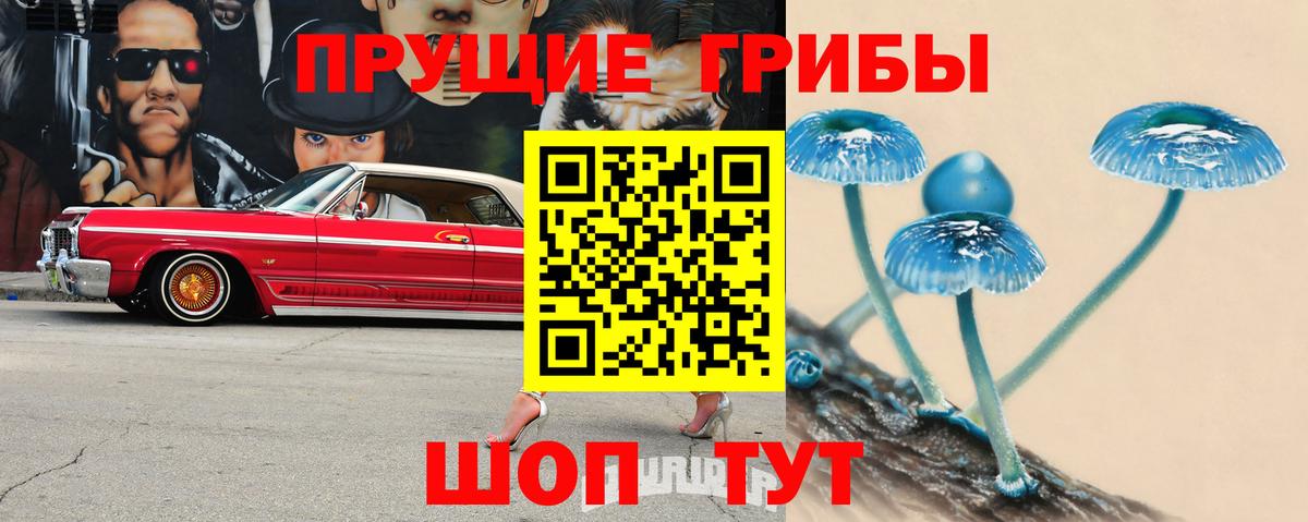 Псилоцибиновые грибы GOLDEN TEACHER Холмск