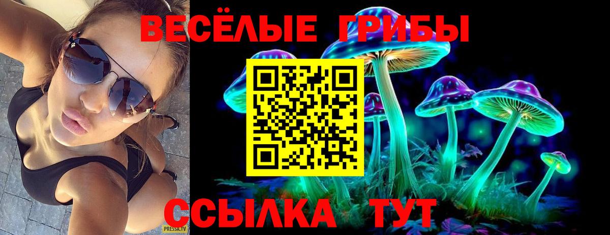 Галлюциногенные грибы ЛСД  Галлюциногенные грибы Psilocybe  Холмск  Вход с VPN 